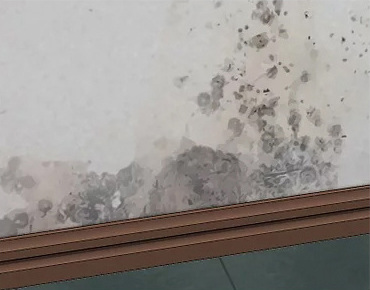 벽면에 곰팡이 또는 습기로 색감이 변하는 경우