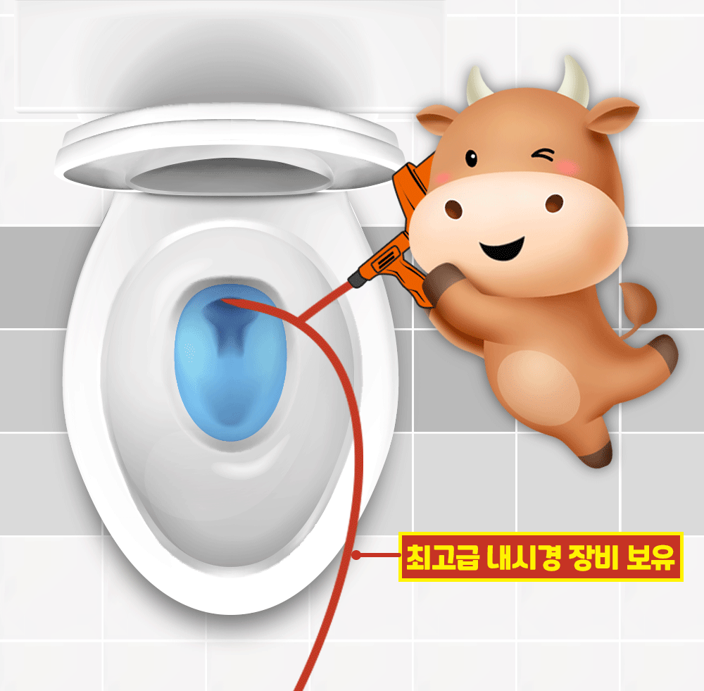 최고급 내시경 장비 보유